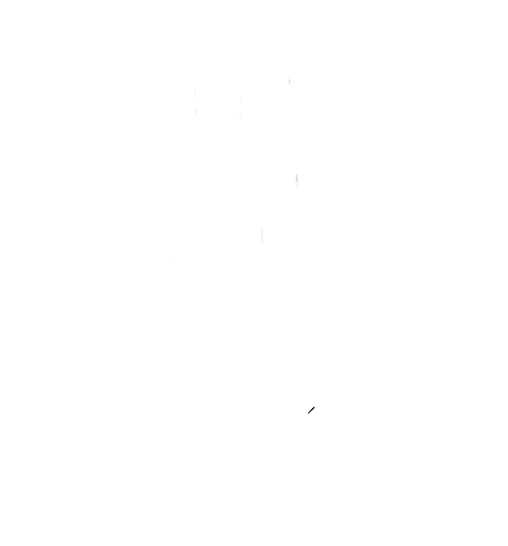 Logo PIZZA EXPRES Strakonice